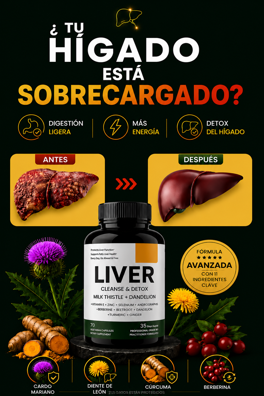 LIVER DETOX - DESINTOXICACIÓN DEL HÍGADO